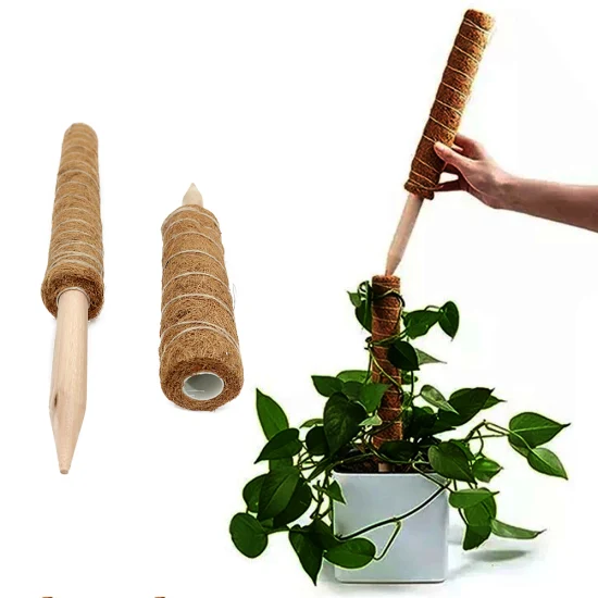 Treillis de plantes en bambou naturel U